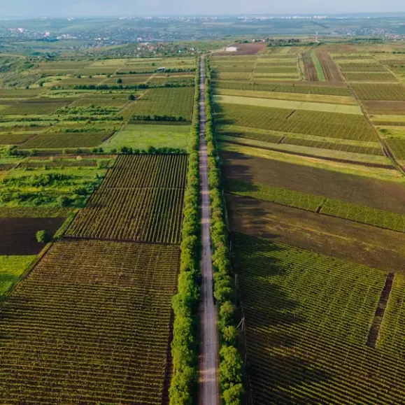 Agronegócio: perspectivas e inovações segundo executivos do setor